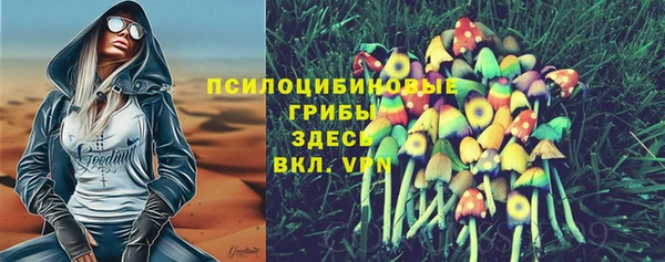 ешки Алексеевка