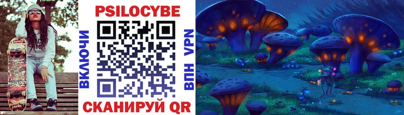где купить   Белый  Псилоцибиновые грибы Magic Shrooms 